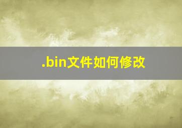 .bin文件如何修改