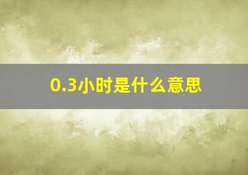 0.3小时是什么意思