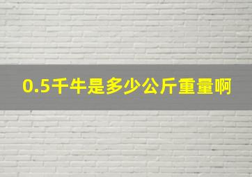 0.5千牛是多少公斤重量啊