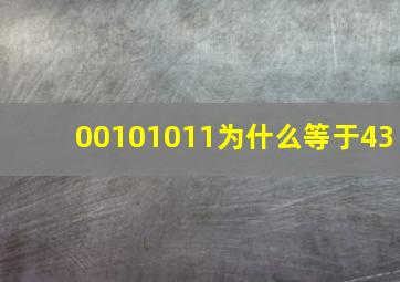 00101011为什么等于43