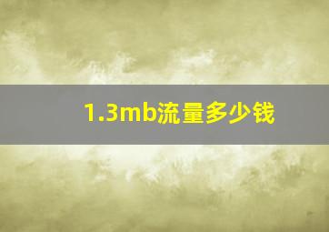 1.3mb流量多少钱