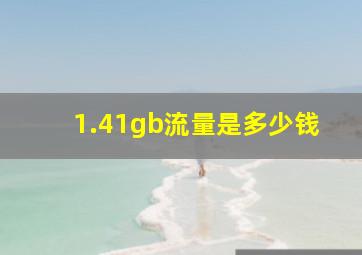 1.41gb流量是多少钱