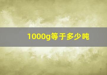 1000g等于多少吨