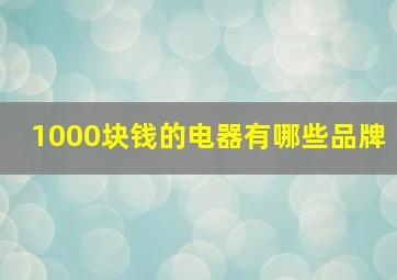 1000块钱的电器有哪些品牌