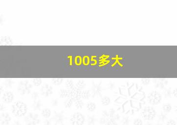 1005多大