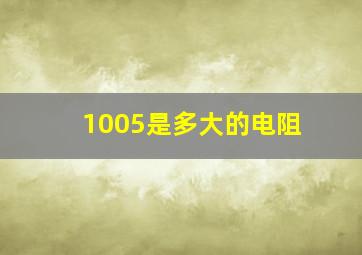 1005是多大的电阻