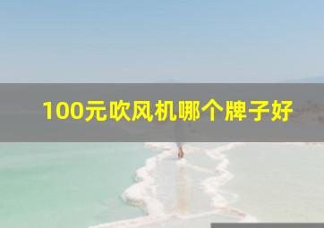 100元吹风机哪个牌子好