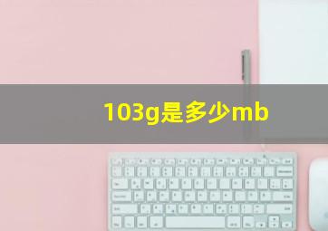 103g是多少mb