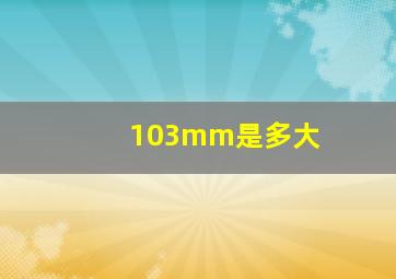 103mm是多大