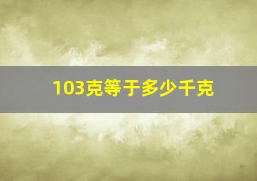 103克等于多少千克