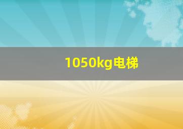 1050kg电梯