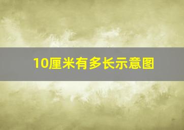 10厘米有多长示意图