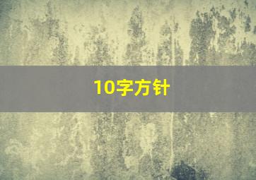 10字方针