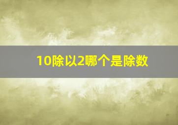 10除以2哪个是除数