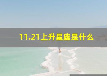 11.21上升星座是什么