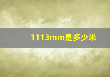 1113mm是多少米