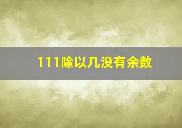 111除以几没有余数