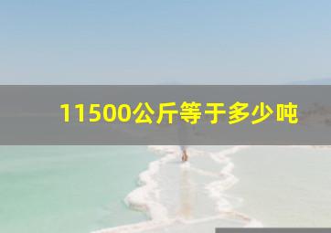 11500公斤等于多少吨