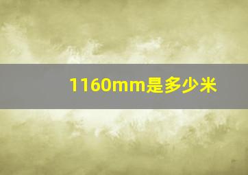 1160mm是多少米