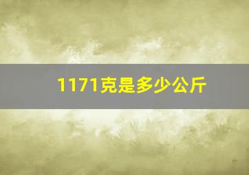 1171克是多少公斤