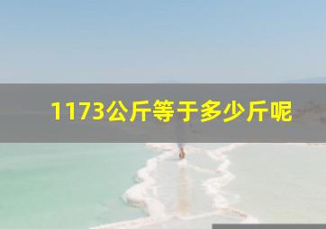 1173公斤等于多少斤呢