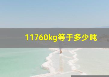 11760kg等于多少吨