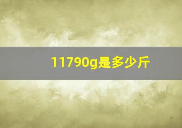 11790g是多少斤