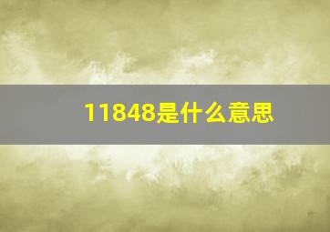 11848是什么意思