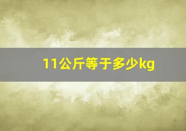 11公斤等于多少kg