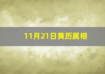 11月21日黄历属相