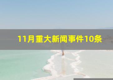 11月重大新闻事件10条