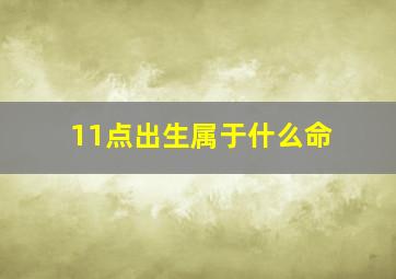 11点出生属于什么命