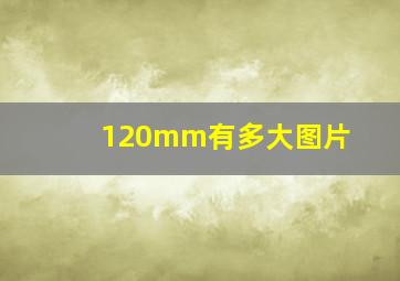 120mm有多大图片