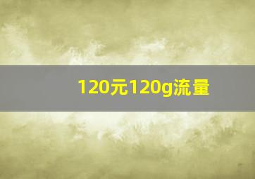 120元120g流量