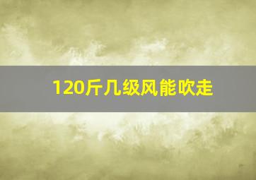 120斤几级风能吹走