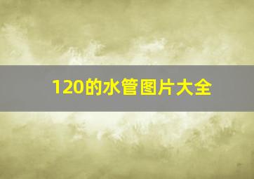 120的水管图片大全