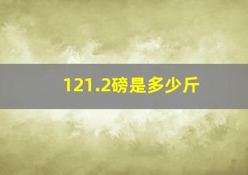 121.2磅是多少斤