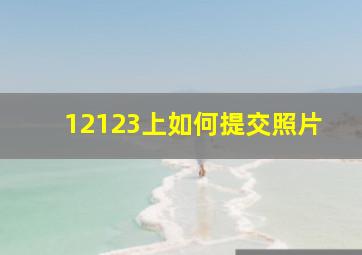 12123上如何提交照片