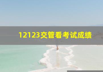 12123交管看考试成绩