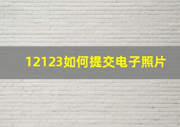 12123如何提交电子照片