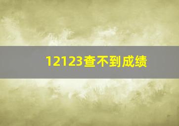 12123查不到成绩