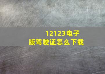 12123电子版驾驶证怎么下载