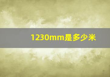 1230mm是多少米