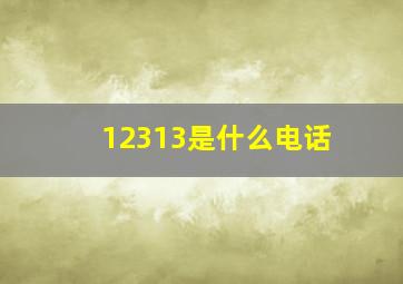 12313是什么电话