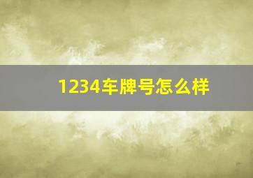 1234车牌号怎么样