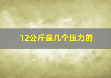 12公斤是几个压力的