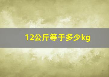 12公斤等于多少kg