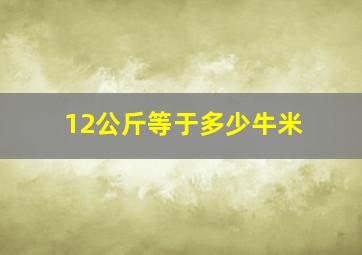 12公斤等于多少牛米