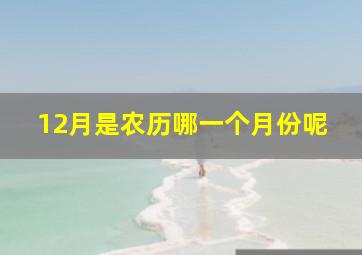 12月是农历哪一个月份呢