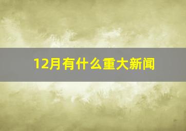 12月有什么重大新闻